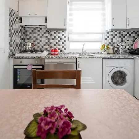 Fully Furnished Flat With Garden In 아파트